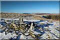 NY3329 : Cairn on Bannerdale Crags by Andy Waddington