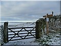 SD8544 : Gate across Gisburn Old Road by Stephen Craven