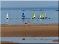 NT4999 : Sailing boats at Elie Harbour by Mat Fascione