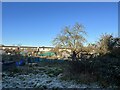 SJ9223 : Coton Fields Allotments by Jonathan Hutchins