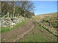 NY2635 : The Cumbria Way, Longlands by Adrian Taylor