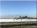 TL2799 : Ice hockey near the Dog-in-a-Doublet sluice - The Nene Washes by Richard Humphrey