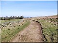 NY2736 : The Cumbria Way near Charleton Wath by Adrian Taylor