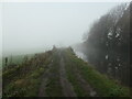 SE0345 : One misty moisty morning on the towpath near Silsden by Christine Johnstone