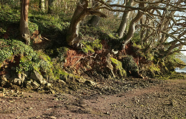 River cliff near Stoke Mouth