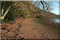 SX8556 : River Dart foreshore near Stoke Mouth by Derek Harper