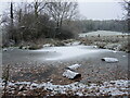 ST6269 : A bit of snow on the pond by Neil Owen