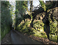 SJ7829 : Narrow road through rock cleft by Trevor Littlewood