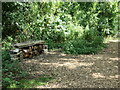 SE6052 : Wood and stone bench, Foss Fairy Trail, York by Christine Johnstone