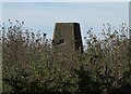 TQ6907 : Barnhorn Trigpoint in East Sussex by John P Reeves