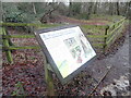 SU8595 : Dew Pond with Information Board on the Hughenden Estate by David Hillas