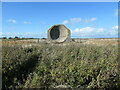 TA4116 : Kilnsea sound mirror, from the east by Christine Johnstone