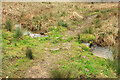 SP3731 : Footpath across water channel near Swerford by Derek Harper