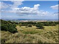 SO5987 : The northern slopes of Brown Clee Hill by Mat Fascione