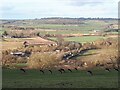 SE3145 : A view over Wharfedale by Stephen Craven