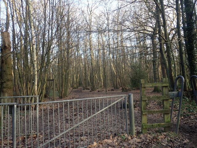 An entrance to East Hoath Wood