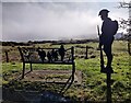 SO5975 : Seat at the Clee Hill viewpoint by Mat Fascione