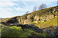 NY9935 : Sunlit rock face at disused quarry by Trevor Littlewood