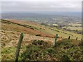 SO5986 : Old fence posts on Brown Clee Hill by Mat Fascione