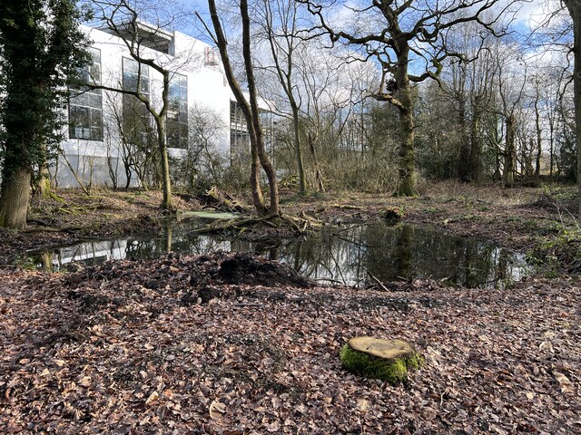 Pond in Quaker's Coppice