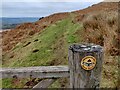 SO5887 : The Shropshire Way on Brown Clee Hill by Mat Fascione