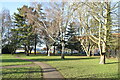 TQ0471 : Tree-lined path in Staines Park by David Martin