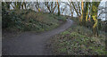 J4583 : The North Down Coastal Path at Grey Point by Rossographer