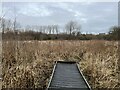 SJ9223 : End of the boardwalk by Jonathan Hutchins