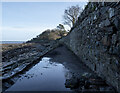 J4281 : The North Down Coastal Path at Craigavad by Rossographer