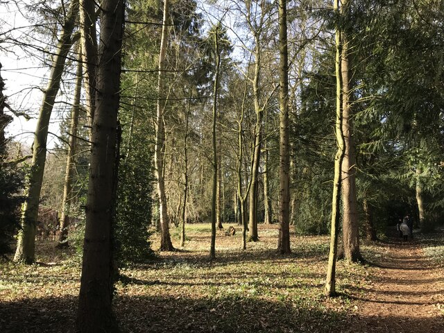 Lexham Hall snowdrop walk - 1 - Start of the walk