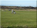 NZ3188 : Newbiggin Golf Club course by Oliver Dixon