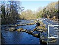 NZ0851 : Fish ladder on the Derwent by Robert Graham