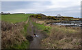 J5383 : The North Down Coastal Path at Ballymacormick Point by Rossographer