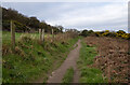 J5383 : The North Down Coastal Path at Ballymacormick Point by Rossographer