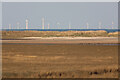 SJ1284 : Point of Ayr Nature Reserve by Andy Waddington