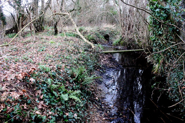 Small Brook just North of Ilton