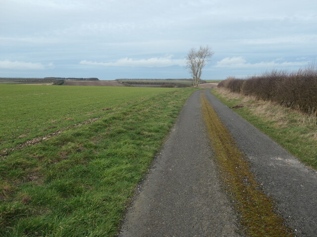 The no-through-road to Paradise Cottages