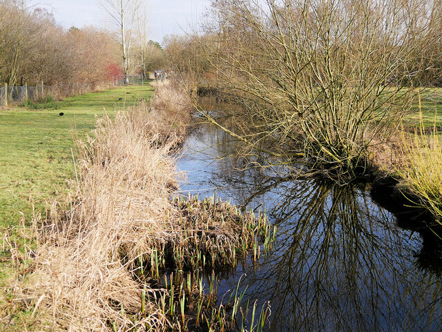 Martin Mere Wetland Centre