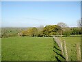 NY3541 : Public footpath near Warnell Hall by Adrian Taylor