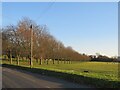 TQ3163 : Winter trees near South Croydon by Malc McDonald