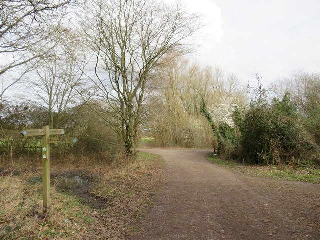 Paths meet near Chessington