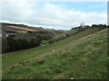 SE8561 : Sheep grazing in Water Dale by Christine Johnstone