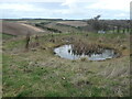 SE8461 : Dew pond, near Thixendale Gritts by Christine Johnstone