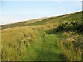 NY3137 : The Cumbria Way, Little Fellside by Adrian Taylor