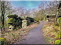 SE2064 : Track through Brimham Rocks by David Dixon