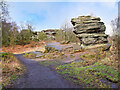 SE2064 : Footpath at Brimham Rocks by David Dixon