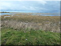 SH4558 : Golygfa allan o'r guddfan adar / View out of the bird hide by Christine Johnstone