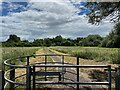 SP3781 : Footpath into Potter's Green Corridor, Henley Green, Coventry by Robin Stott