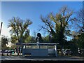 SP2865 : Big poplars, Priory Park, Warwick by Robin Stott