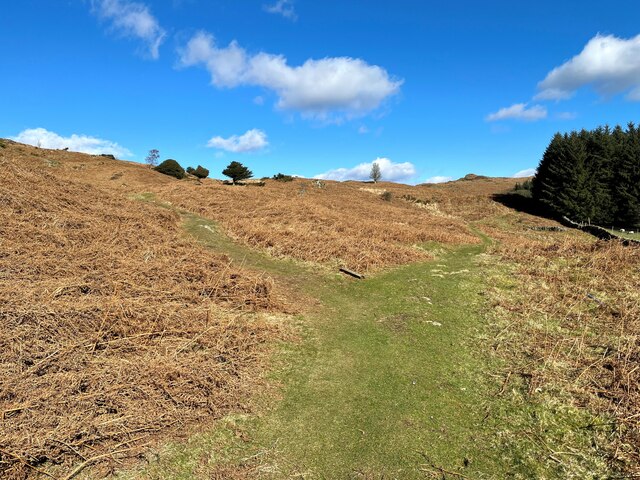 Path junction near Cockenskell